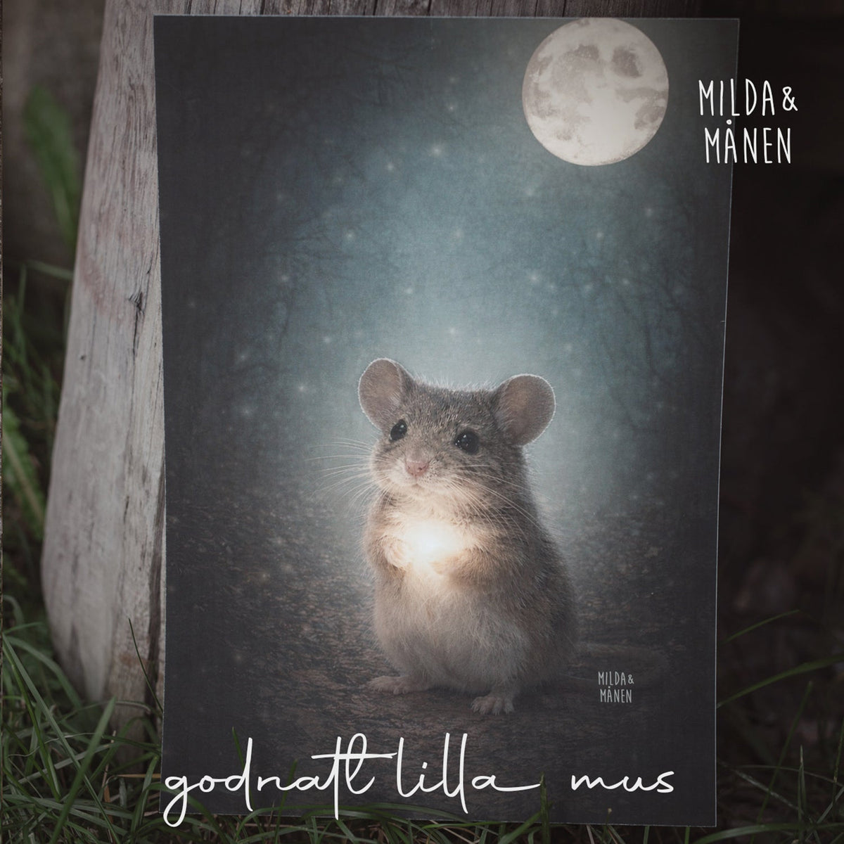 Godnatt lilla mus är ute nu