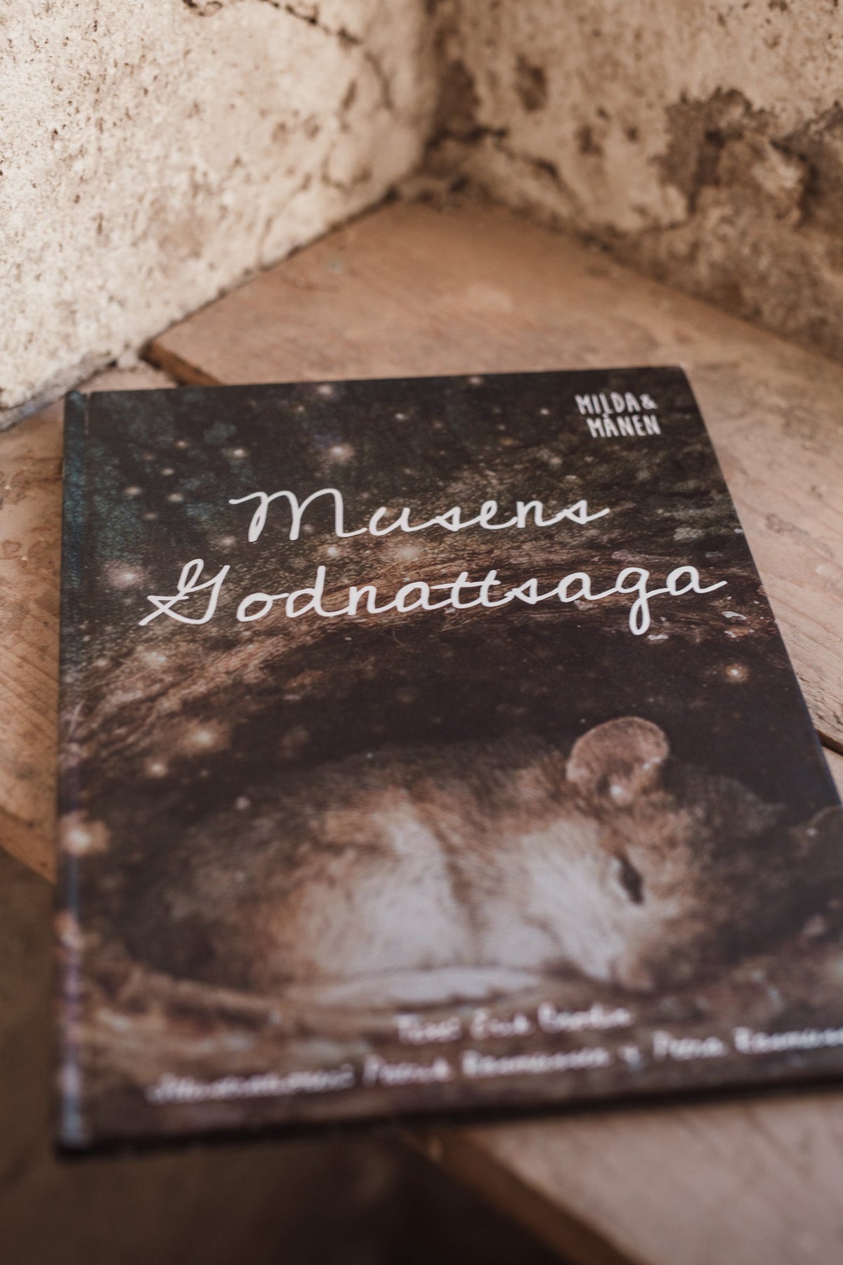 Musens godnattsaga är här - e-bok