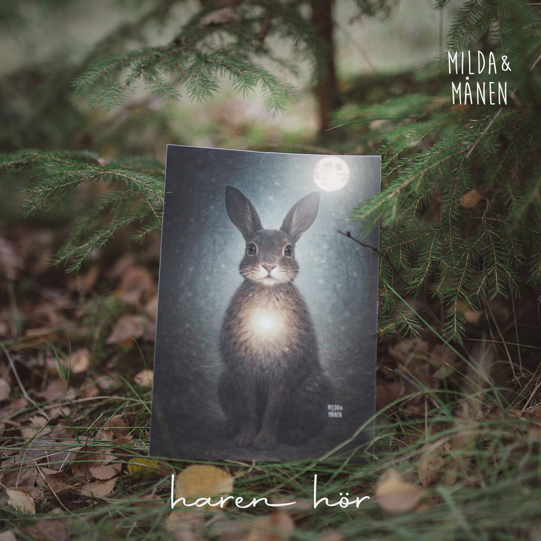 Sången Haren hör finns nu ute på Spotify.