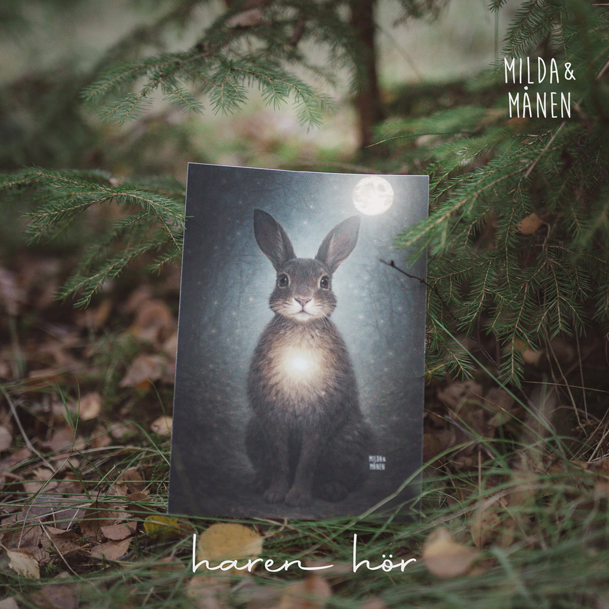 Sången Haren hör finns nu ute på Spotify.