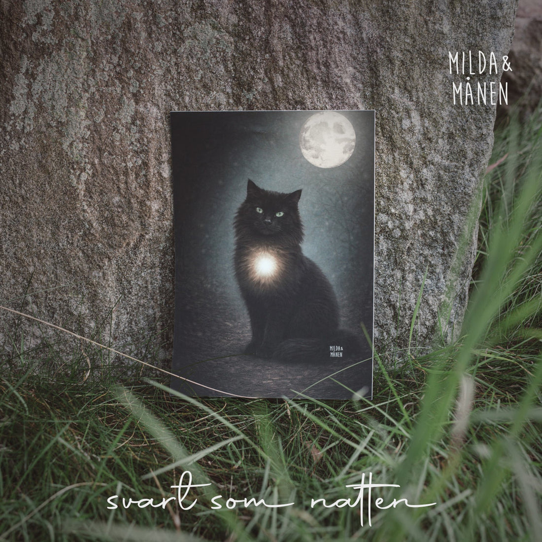 Låten om Katten är ute nu!