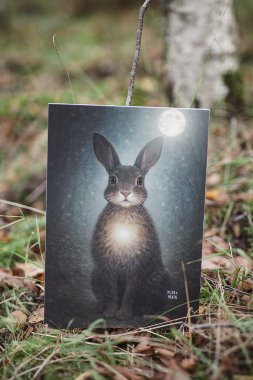 Haren - Poster