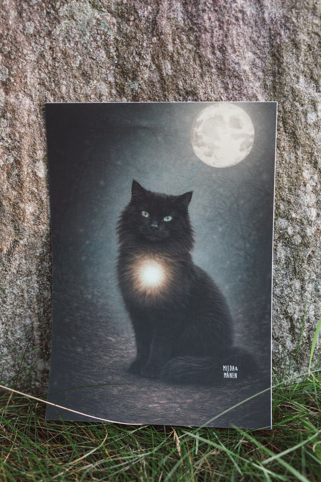 Katten - Poster
