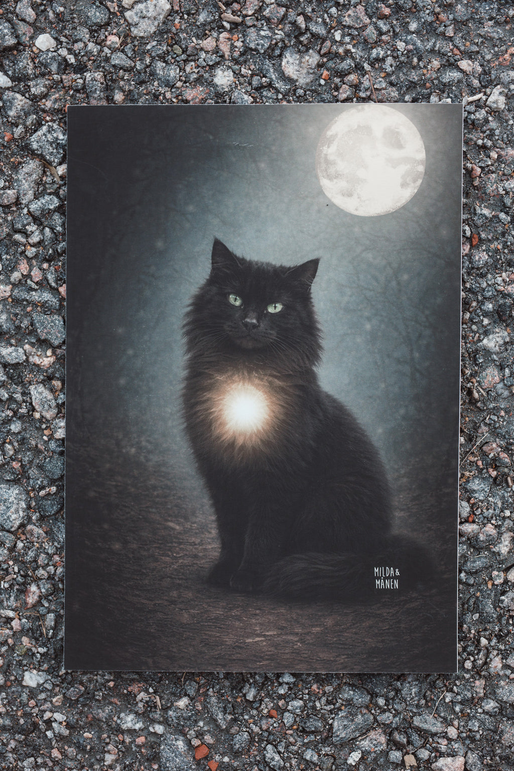 Katten - Poster