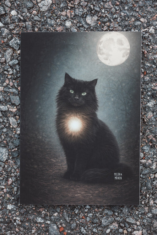 Katten - Poster