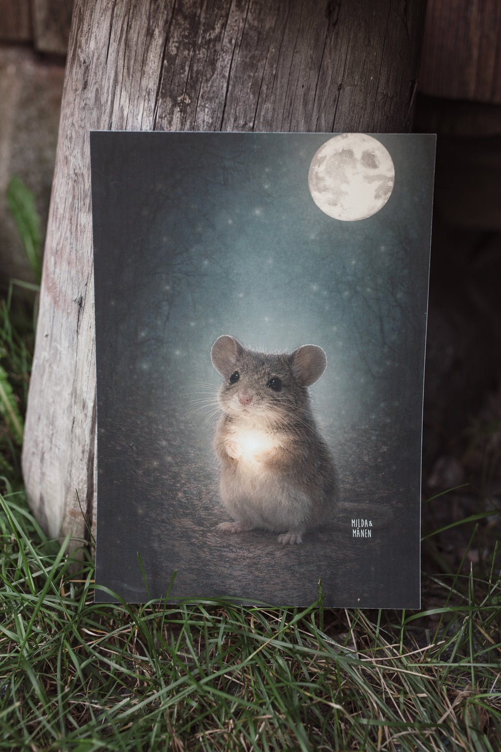 Musen - Poster