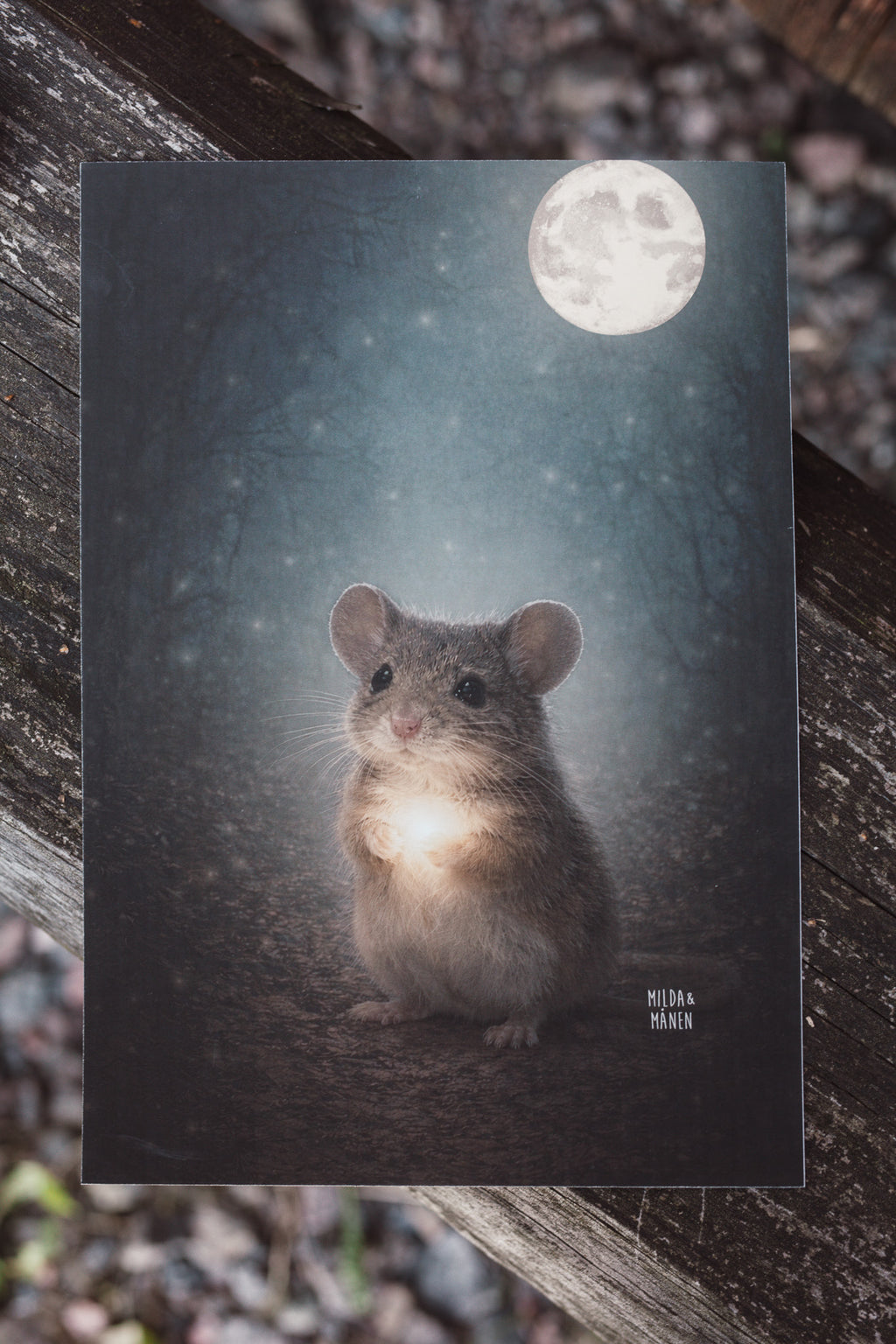 Musen - Poster