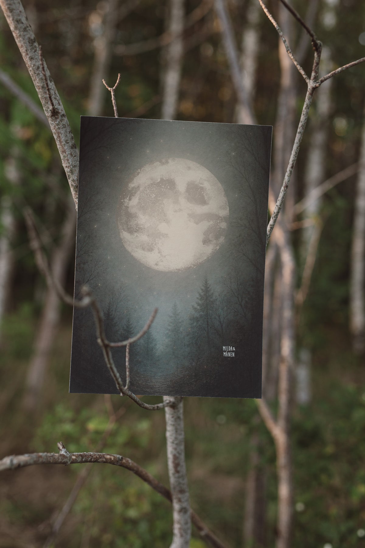 Månen - Poster