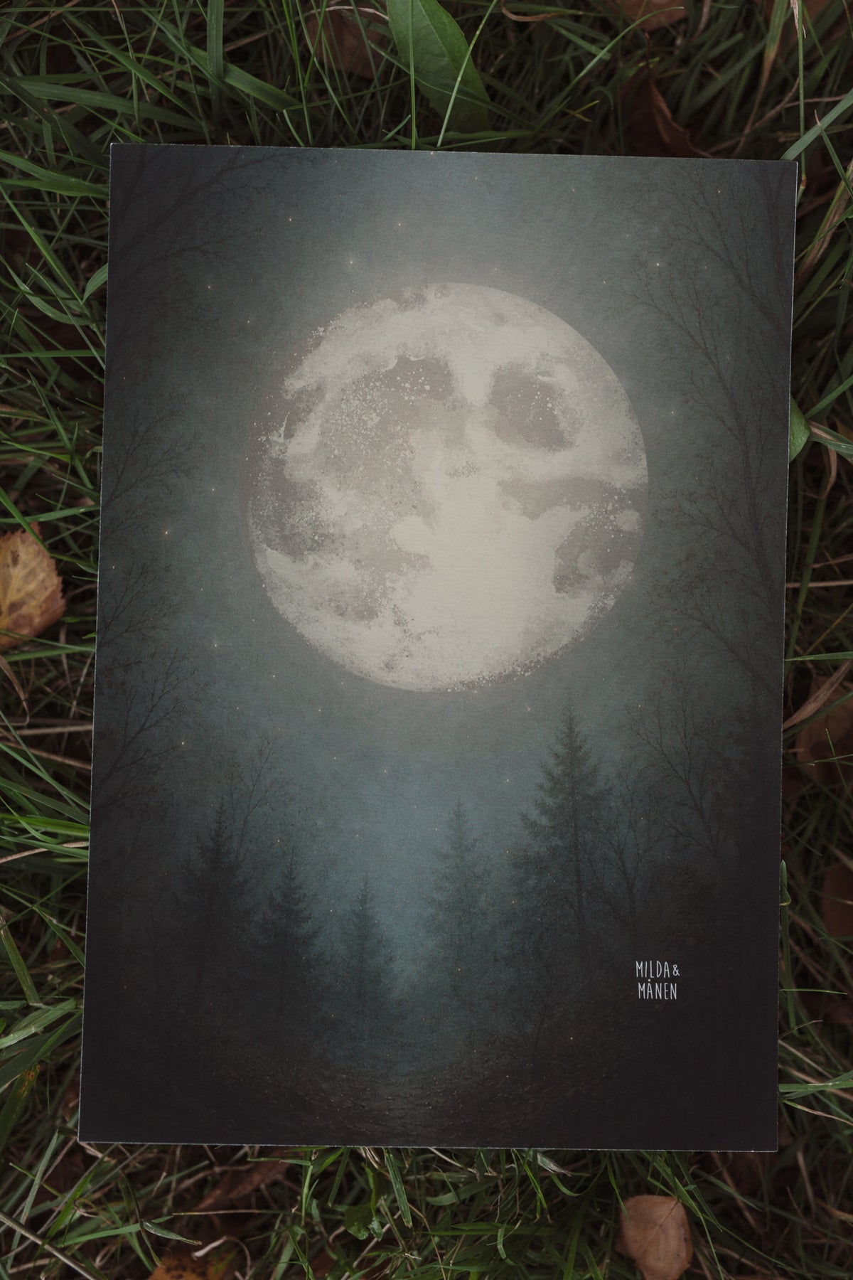 Månen - Poster
