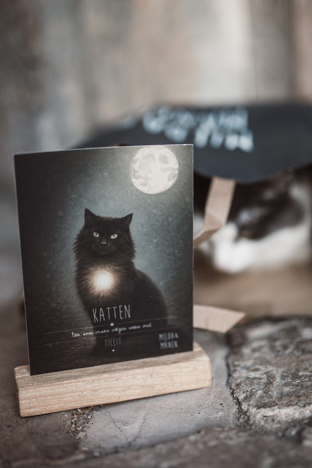 Karaktärskort med träställ - Katten