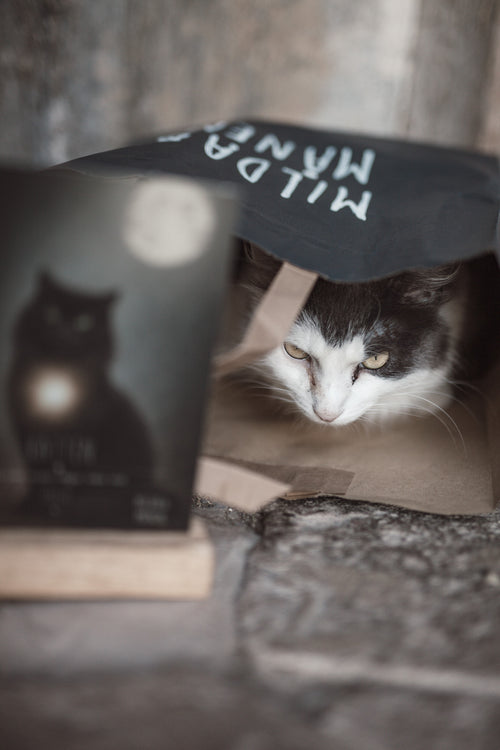 Karaktärskort med träställ - Katten