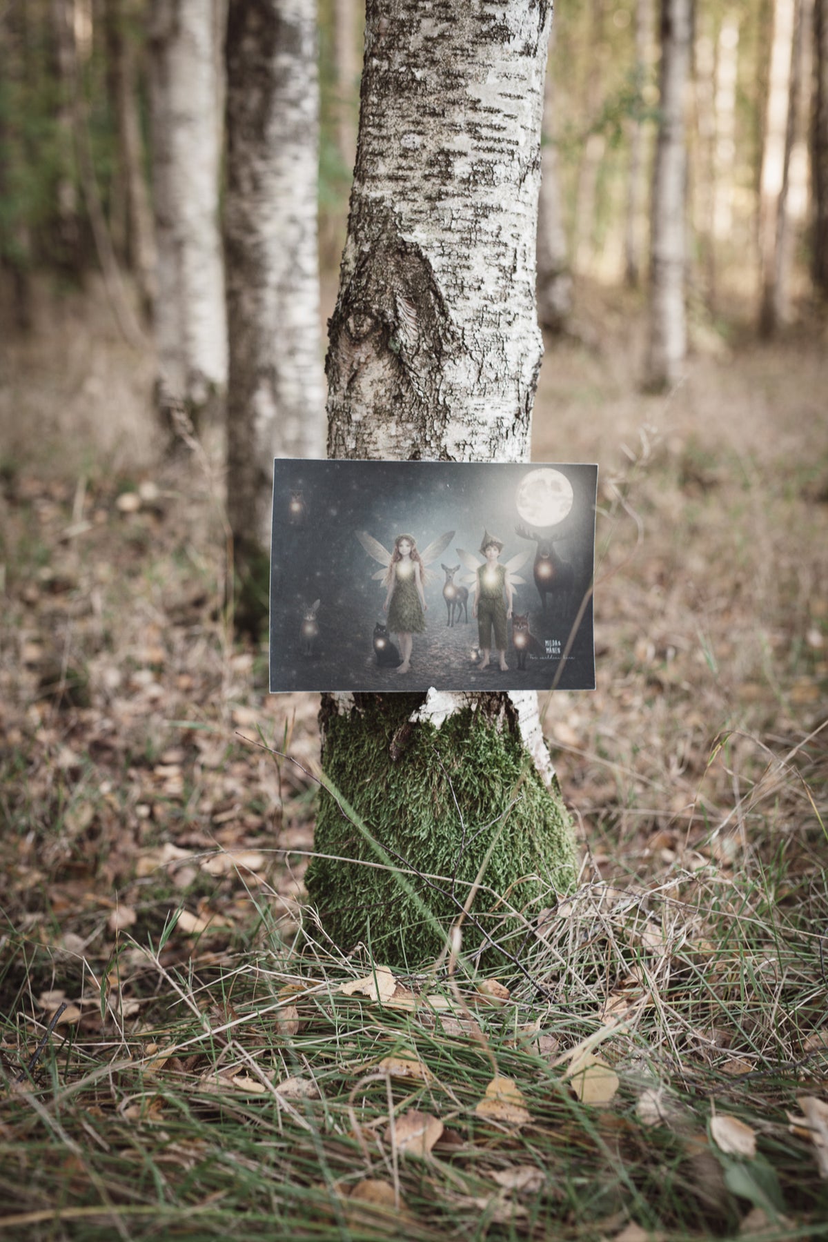 Världens Barn - Poster